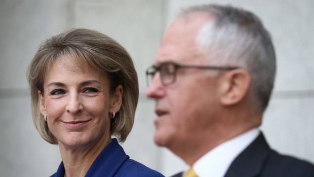 Minister for Employment Michaelia Cash and Prime Minister Malcolm Turnbull are both in Mr Palmer's sights.