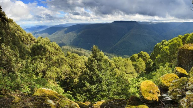 Barrington Tops, NSW