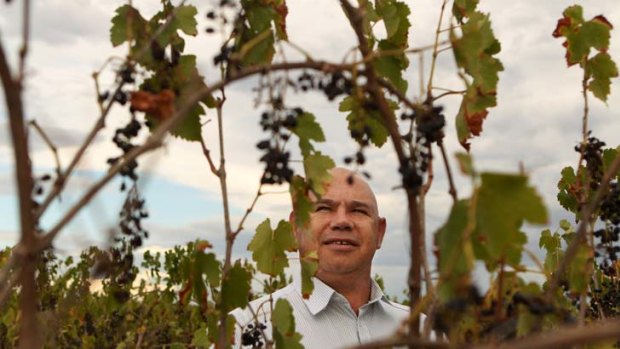 Grape expectations &#8230; Craig Cromelin, one of the 16 men who co-founded Murrin Bridge Connection wines. ''I still think it's got every chance of success.''