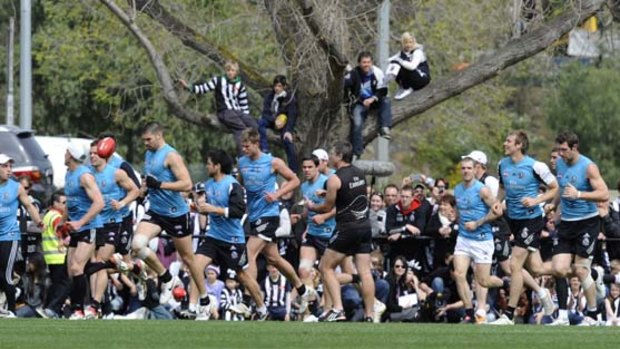 Magpies'perch ... thousands of Collingwood fans turned out to watch their team go through their paces at Gosch's Paddock in Melbourne yesterday.