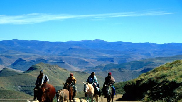 Forgotten land ... men herding sheep in Lesotho.