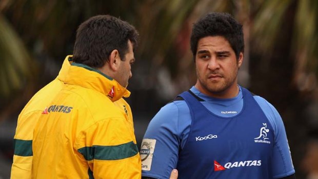 Impressive comeback ... Pek Cowan has faught his way back into the Wallabies squad after a horiffic head clash in May.
