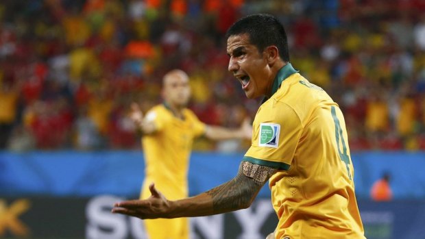 Tim Cahill protests against his disallowed goal.