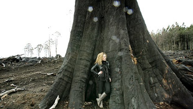 Sarah Rees at the base of an ancient mountain ash spared the chainsaw but killed during a clean-up fire near Toolangi. She says the present situation is an emergency.