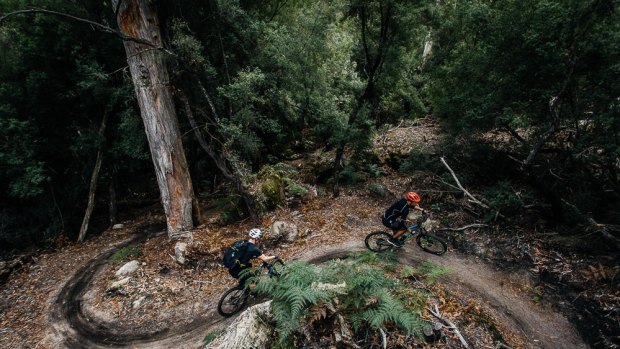 Bobsledding in the bush with the Blue Derby Pods Ride