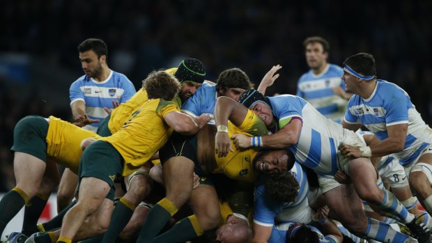 All fall down: Australia collapse a scrum during the match against Argentina at Twickenham.