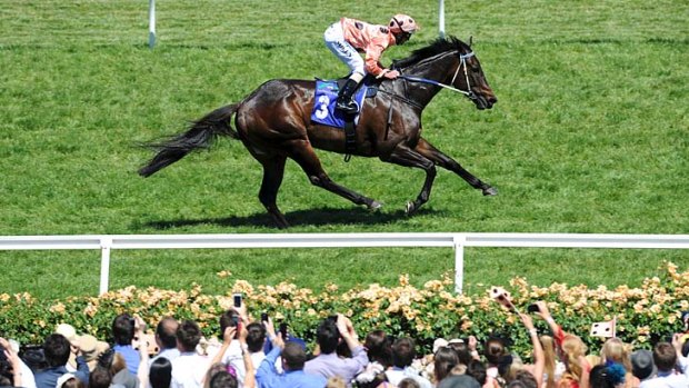 Black Caviar was again the star of the show at Flemington on Saturday.