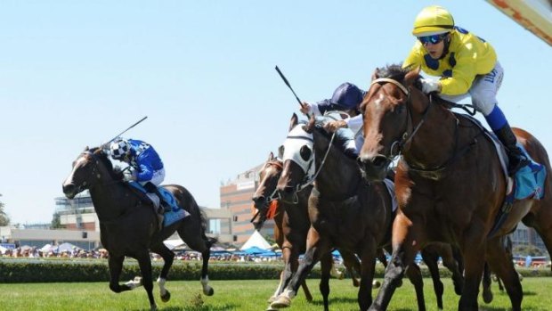 Rubicked: Jabali goes down to Rubick in the Blue Diamond Prelude in Melbourne last month.