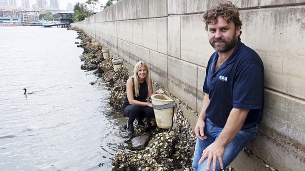Stone zone: Rebecca Morris and Anthony Luck install a pot along the harbour sea walls.