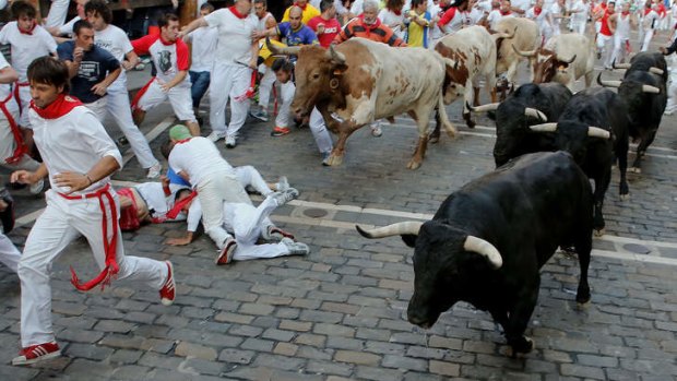 Revellers run with the bulls at the San Fermin festival in  Pamplona on Wednesday.