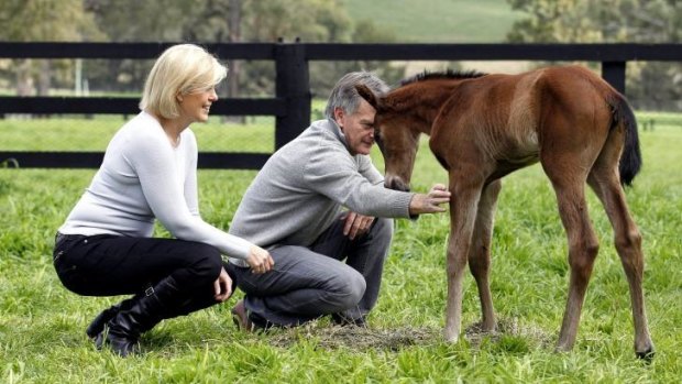 Proud godparents: Black Caviar's managing part-owner Neil Werrett and partner Lena Attebo with her new foal.