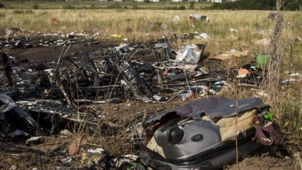 Luggage and wreckage from Malaysia Airlines flight MH17 lie in a field.