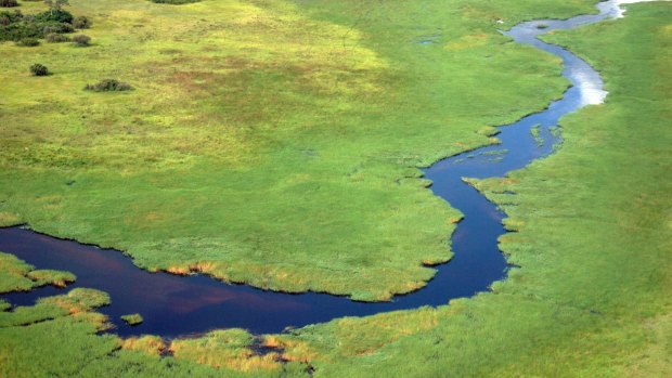 A meandering river in the Okavango Delta, Botswana.