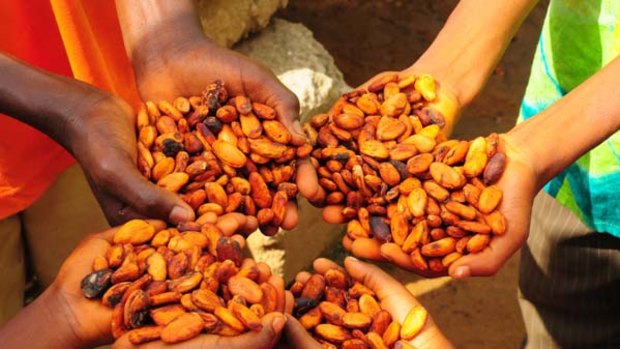 Fair trade cocoa beans ... almost two thirds of Australian consumers believe it is important to choose products that support fair trade.