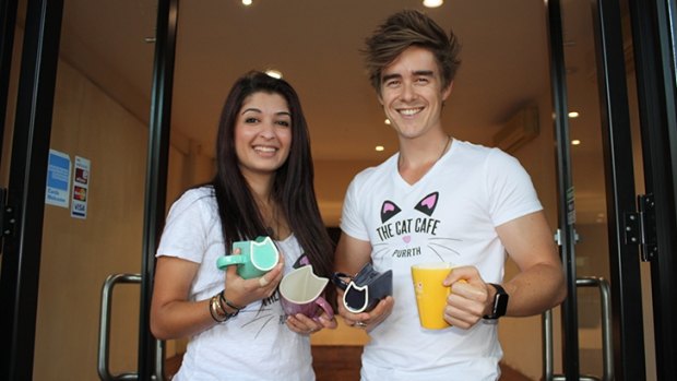 Chris Mewburn and Terps Platritis are opening Perth's first Cat Cafe.