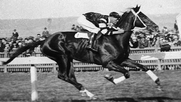 Phar Lap had the equivalent of 27 Group 1 wins.