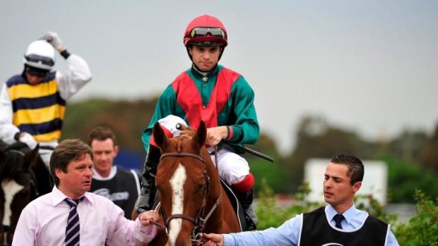 Lofty ambitions: one-time Melbourne Cup hope Brigantin will be among Chris Waller's team for the Wyong Gold Cup.