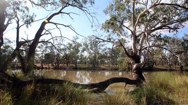 The Murray-Darling Basin Authority's plan condemns the river system to 'continual decline and possible collapse' according to the Wilderness Society.