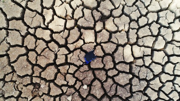 Could Sydney face another water crisis?
