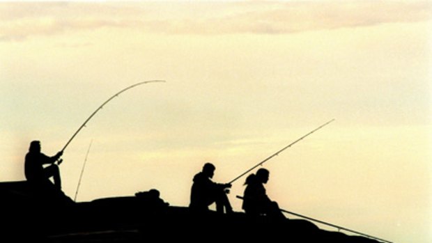 Recreational fishers face tougher bans to protect endangered fish species in WA.