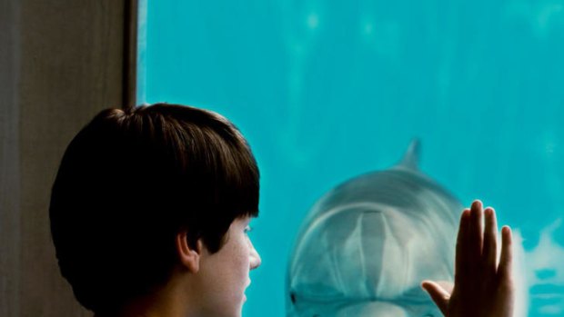 Nathan Gamble as Sawyer Nelson in <i>Dolphin Tale 3D</i>.