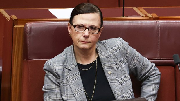 Liberal senator unleashes on the PM