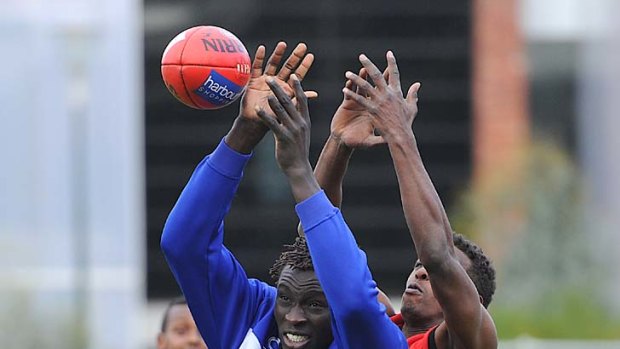 Reaching out: North's Majak Daw joins a clinic for multicultural youths at yesterday's launch.