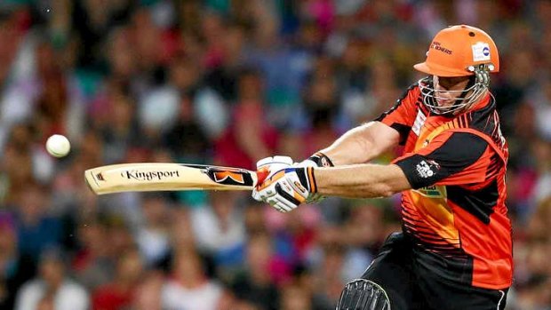 Club man: Craig Simmons of the Scorchers plays a pull shot on his way to a century against the Sydney Sixers in the Big Bash semi-final at the SCG.
