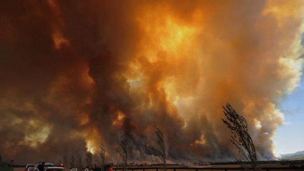 A bushfire rages out of control from the Bunyip State Park, east of Melbourne, on February 7, 2009.