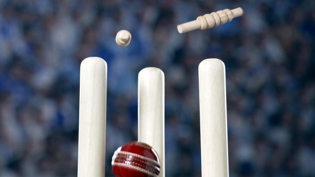 Cricket stumps bails