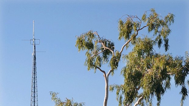 A 2003 photo of the "Tree of Knowledge", a 170-year-old ghost gum outside the Barcaldine railway station in Queensland. The tree is said to be the birthplace of the Australian Labor Party. It was declared dead in October 2006 after it was poisoned. 