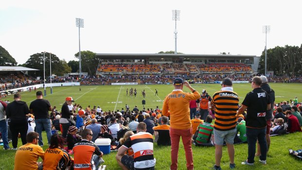 Craving glory: Wests Tigers fans at Leichhardt Oval.