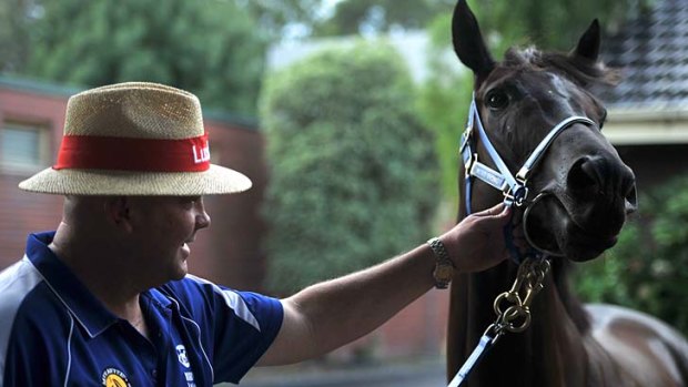Class act: Black Caviar and trainer Peter Moody on Thursday, ahead of her return.