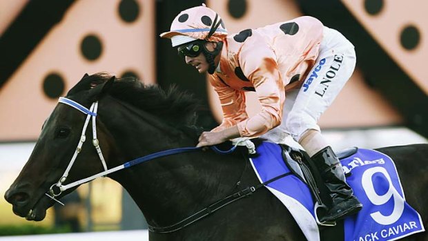 Luke Nolen played the role of the shy and understated jockey in the amazing Black Caviar's story.