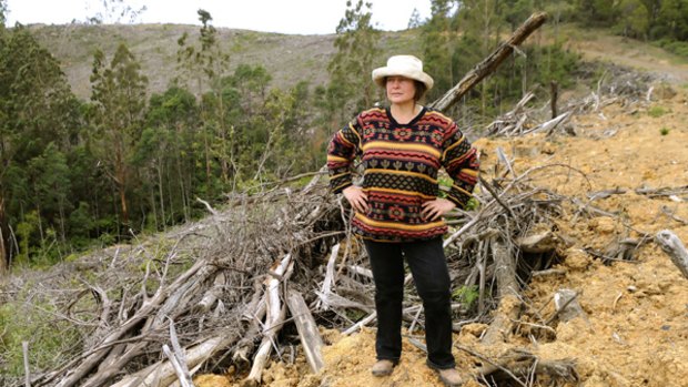 Friends of Gippsland Bush secretary Susie Zent  at College Creek in the Strzelecki Ranges, which was clear felled after the Victorian  Government reneged on a deal to protect it.