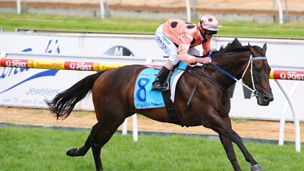 Black Caviar (Luke Nolen) records her 18th win in as many starts in the CF Orr Stakes at Caulfield.