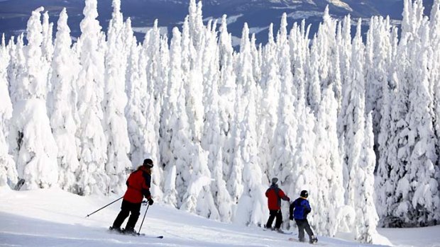 Snow-offs ... mastering the slopes at Silver Star Ski Resort.