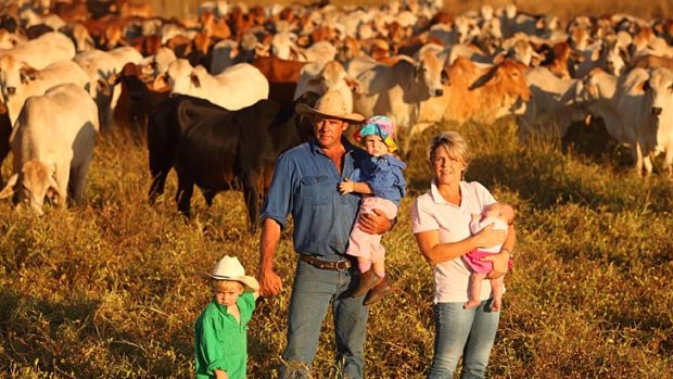 Midway Station's Chris and Marie Muldoon, with children Jock, Lizzie and baby Isabella, amid a herd of cattle that was bound for export from Darwin.