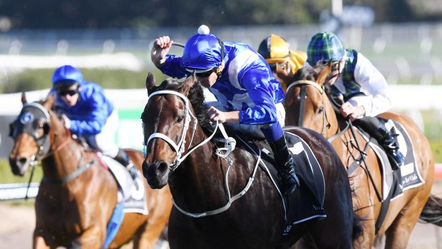 Close call: Winx charges home to claim a narrow win after missing the start in the Warwick Stakes.