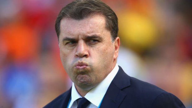 Every player in squad will be under review: Ange Postecoglou.