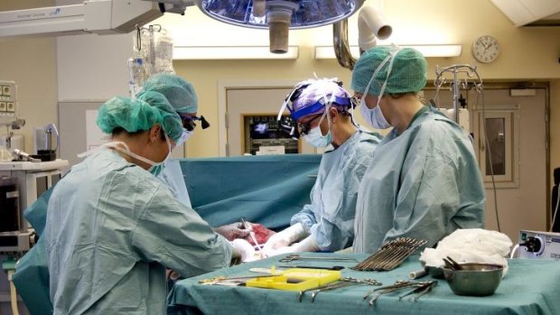 Operation: Surgeons at the University of Gothenburg in Sweden practice transplanting wombs.