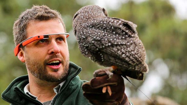 A handler stares at an Owl using Google Glass.