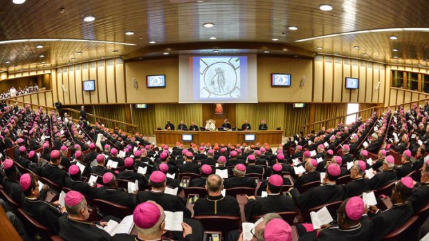 "This video does not express the view of the synod or the Vatican" ... bishops who watched the video were reportedly shocked by its content.