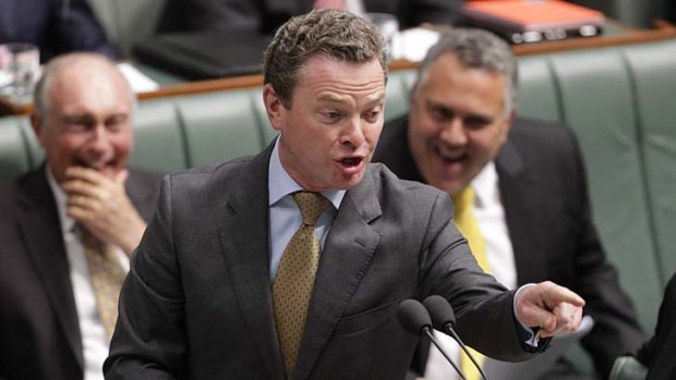 Accuser ... the Manager of Opposition Business, Christopher Pyne.