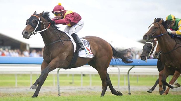 Comeback trail &#8230; talented sprinter Stratford winning at this year's Magic Millions for Jason Taylor. The five-year-old resumes at Warwick Farm on Saturday.