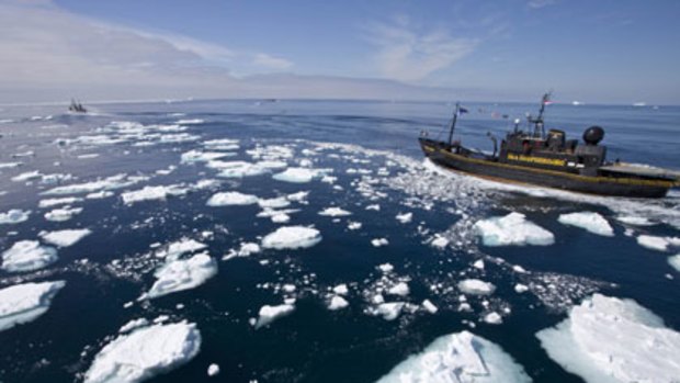 Hunted ... the anti-whaling vessel Steve Irwin pursues the Japanese whaling fleet on New Year's Day.