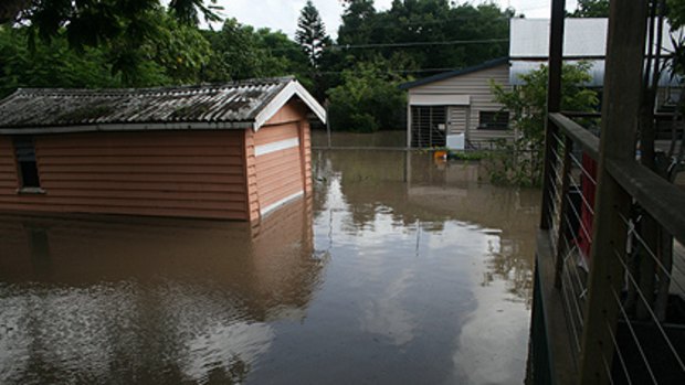 The flooded backyard.