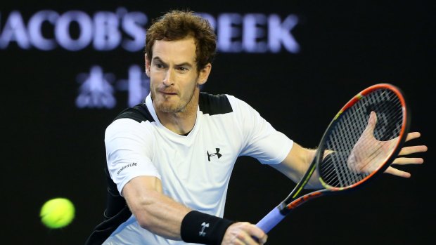 Roller coaster: Andy Murray has had a tough journey to the Australian Open final.