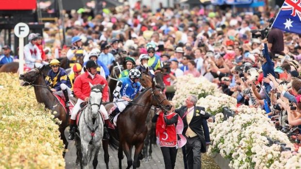 Araldo (left) ridden by Dwayne Dunn is spooked by a patron waving a flag as the horses return to scale after racing in the Melbourne Cup.