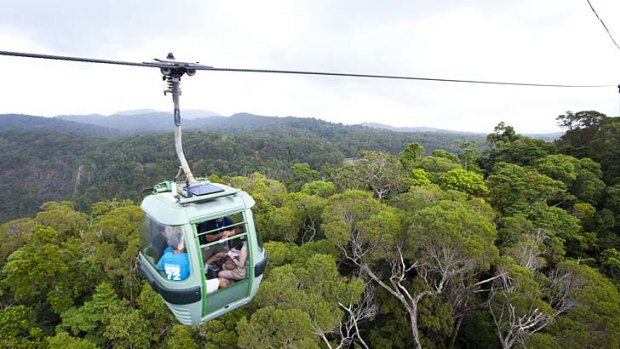 he SkyRail Rainforest Cableway offers a bird's eye view of the spectacular rainforest.